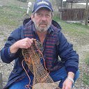 ���� �����, �����������, 62 ���� - ��������� 4 ������ 2016 � ������ ���� ����������