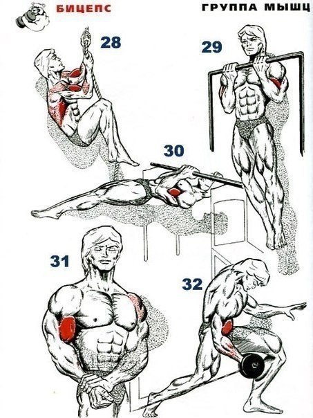   4,5   -   4,5 .   -  !    ... - 5