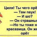 ���� Elizabeth, ������, 58 ��� - ��������� 1 ������� 2016 � ������ ������ ��������