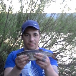 ����, ���������, 29 ���