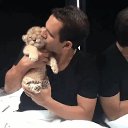 ���� �������, ������ - ��������� 16 ���� 2016 � ������ ������ ��������