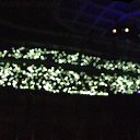 ���� �������, ������������, 34 ���� - ��������� 23 ���� 2016 � ������ ���� ����������