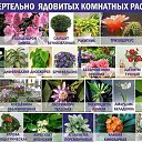���� ����, �����������, 64 ���� - ��������� 25 ���� 2016 � ������ ������ ��������