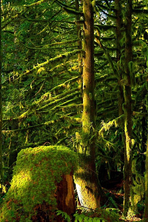  .#nature@travel.blog - 4