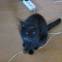 ���� ��������, ����, 61 ��� - ��������� 15 ���� 2016 � ������ ���� ����������