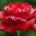 ���� Anyuta, ��������� - ��������� 26 ���� 2016 � ������ ���� ����������