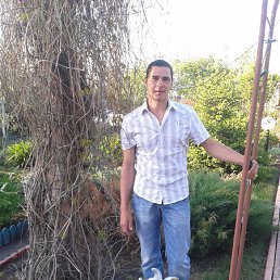 ���� ����, ���������, 36 ��� - ��������� 29 ����� 2016