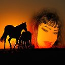  ..-157-,  -  22  2016    