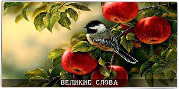 �� ����� ������� ������ - ����� ������ �������, ��� ������ ����. ��� ���������� ���, ��� ������ ���� ...