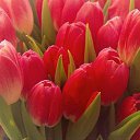 ���� ������, �����, 36 ��� - ��������� 2 ������ 2016