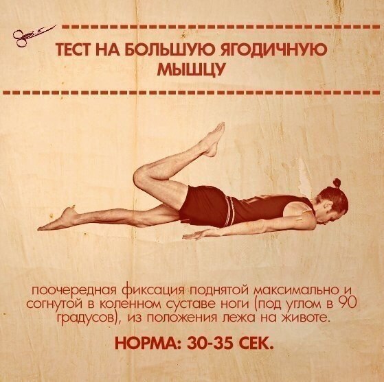 10 упражнений, которые покажут ваши слабые места. Тело нетренированного человека очень ... - 7