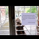 ���� Dmitriy, ����������, 57 ��� - ��������� 21 ������� 2016 � ������ ������ ��������