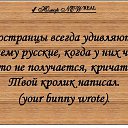 ���� ������, ������ - ��������� 24 ��� 2016 � ������ ������ ��������