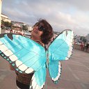 ���� ���������, ����������� - ��������� 2 ���� 2016
