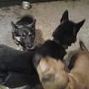  , , 67  -  5  2016    .