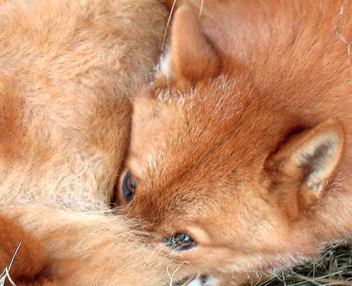   - 14  2016  16:07 - 4