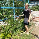 ���� �����, ������, 55 ��� - ��������� 1 ������� 2016 � ������ ������ ��������