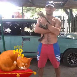 �������, �������, 41 ���