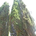 ���� ���������, �������, 69 ��� - ��������� 12 ������ 2016