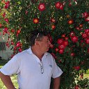 ���� ���������, ������������, 66 ��� - ��������� 28 ������� 2016 � ������ ���� ����������