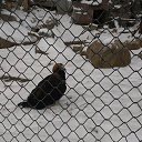 ���� ����, ������������, 35 ��� - ��������� 12 ���� 2016 � ������ �Moscow 2016 January�