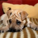 ���� ���������, ������, 27 ��� - ��������� 1 �������� 2016 � ������ ���� ����������