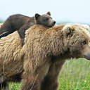 ���� �������, ������ - ��������� 16 ���� 2016 � ������ ������ ��������