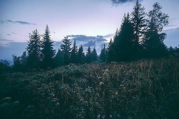 Учёные пришли к выводу, что природа Урала - лучшее место, чтобы подумать о том, куда катится ваша ... - 5