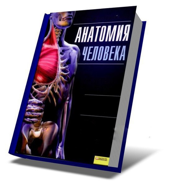 Здесь просто все, что нужно знать о СВОЕМ ТЕЛЕ