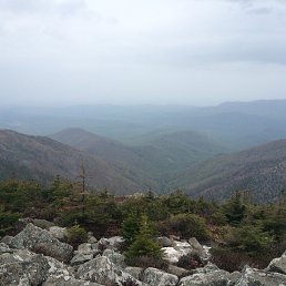 �����, �����������, 39 ���