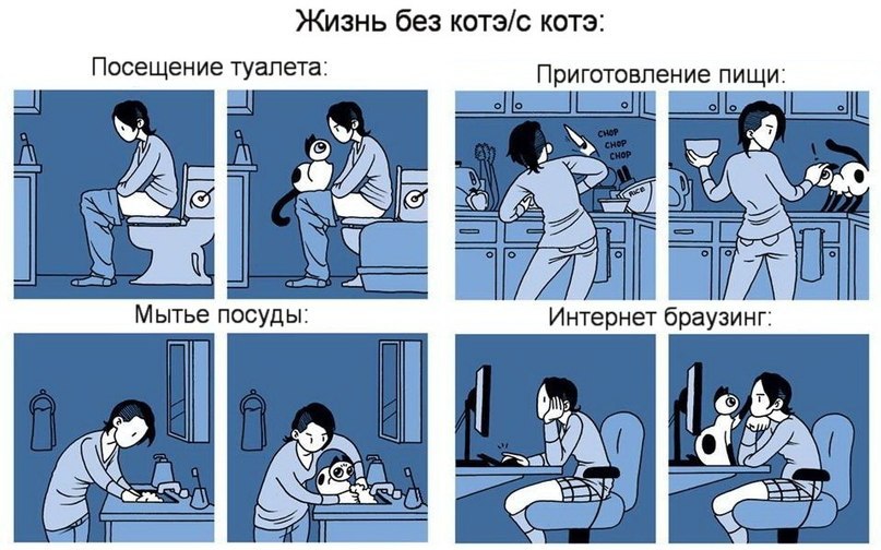 Без кота и жизнь не та - 18 марта 2016 в 01:30