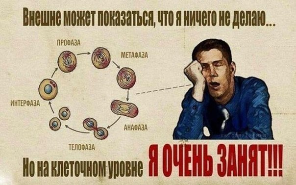 9 отмазок лентяев.1. Я не могуЕдинственный человек, который может сказать тебе: «Ты не можешь», — ...