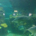 ���� ������, ������, 73 ���� - ��������� 31 ����� 2016 � ������ ���� ����������