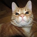 ���� ������, �����, 38 ��� - ��������� 18 ������ 2016 � ������ ������ ��������