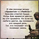 ���� ���������, �����-��������� - ��������� 25 ���� 2016 � ������ ������ ��������