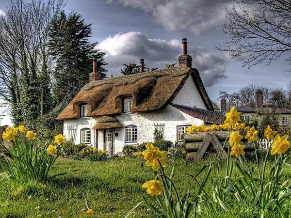   .        .  , ... - 17