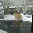 ���� ����, ������������, 35 ��� - ��������� 12 ���� 2016 � ������ �Moscow 2016 January�