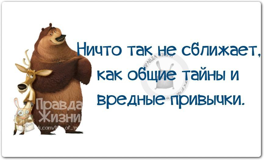 Интернет он не сближает это скопление одиночества. Что общего шутки. Интернет он не сближает это скопление одиночества. Интернет он не сближает это скопление одиночества. Интернет он не сближает картинка.