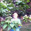 ���� Elen@, ������� - ��������� 27 ������ 2016 � ������ ���� ����������