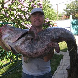 �������, �������, 58 ���