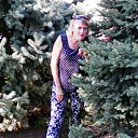 ���� ����, ��������������, 52 ���� - ��������� 26 ������� 2016 � ������ ���� ����������