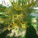  -   !,  -  12  2016     2016