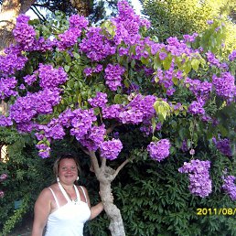 ****, 46, ,  