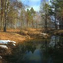 ���� ��������, ������, 55 ��� - ��������� 11 ����� 2016