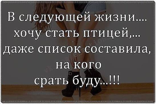 ���� - 8 �������� 2016 � 11:41