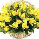 ���� �����, ������ - ��������� 13 ������� 2016 � ������ ���� ����������