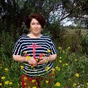 ���� 2016 ��� �� ������� ���� ����������