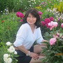 ���� �����, ������, 54 ���� - ��������� 20 ������� 2016 � ������ ���� ����������