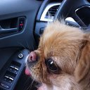 ��� �������!!! �� ������� ���� ����������