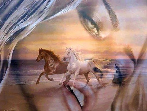 По сути, Жизнь – единственная квота В руках судьбы. Но не об этом речь! Возможно, Жизнь лишает нас ...